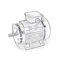 Single-phase Induction Motor