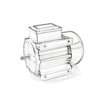 Three-phase Induction Motor